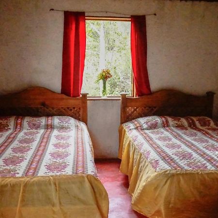 Cabanas Tonina Kayab Ocosingo Ngoại thất bức ảnh