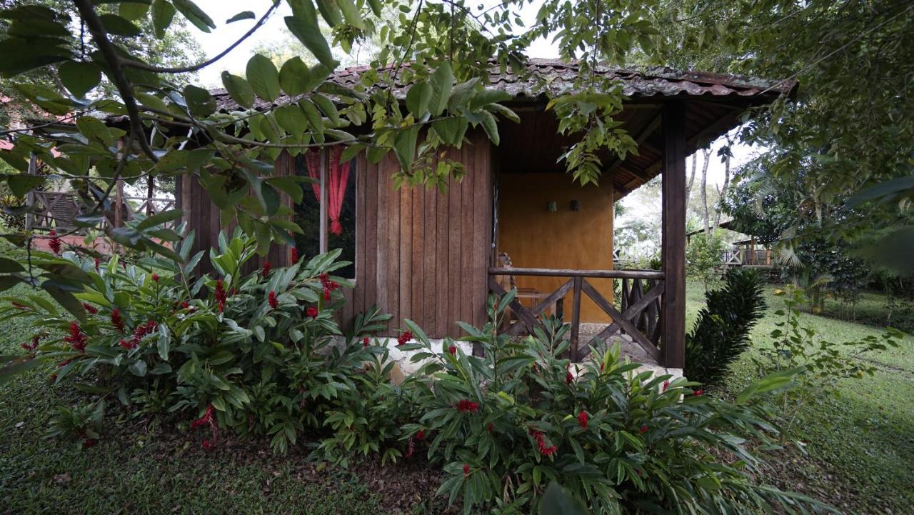 Cabanas Tonina Kayab Ocosingo Ngoại thất bức ảnh