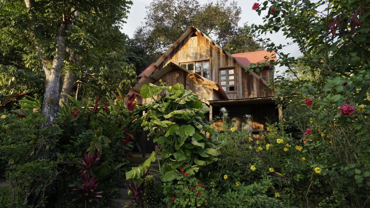 Cabanas Tonina Kayab Ocosingo Ngoại thất bức ảnh