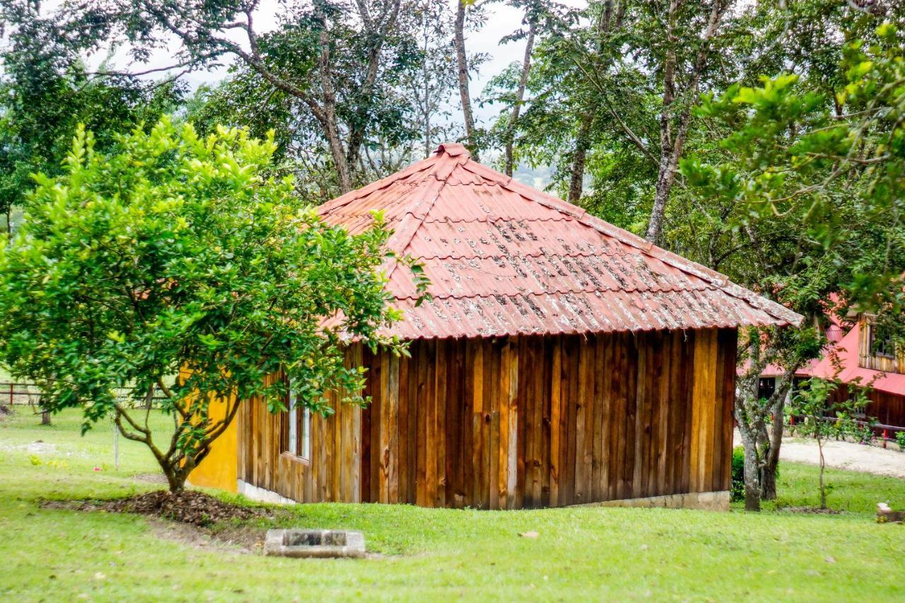 Cabanas Tonina Kayab Ocosingo Ngoại thất bức ảnh
